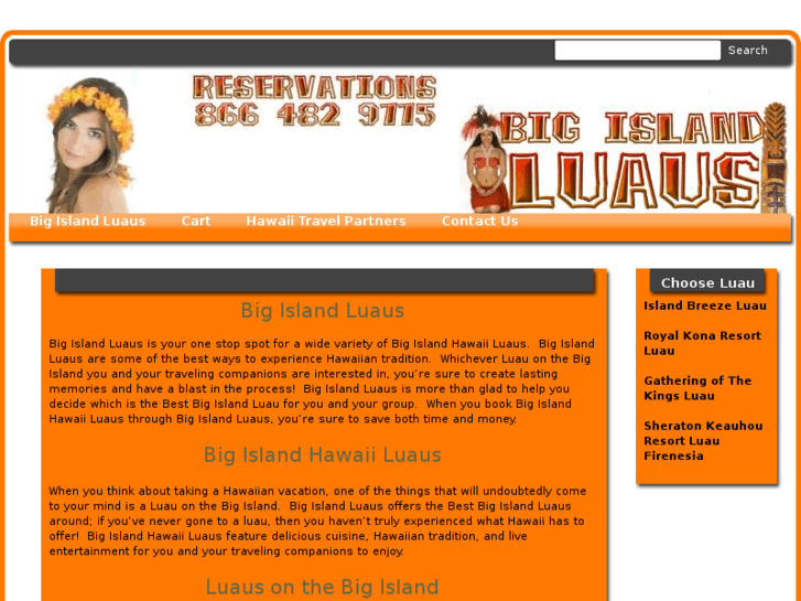 www.bigislandluaus.com