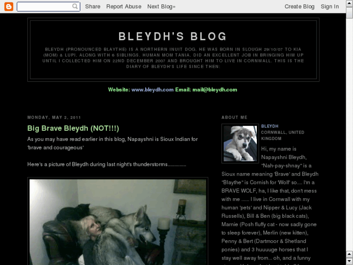 www.bleydh.com