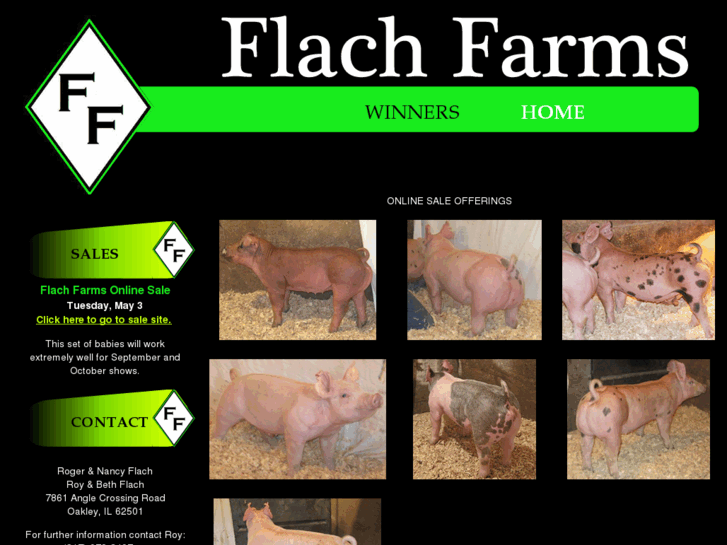 www.flachfarms.com