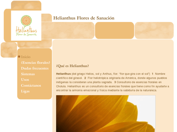 www.helianthuscholula.com