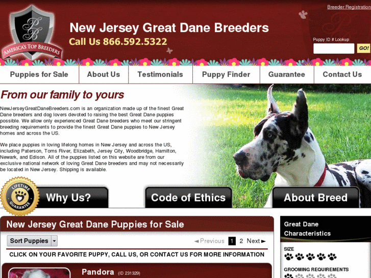 www.newjerseygreatdanebreeders.com