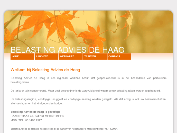 www.belastingadviesdehaag.nl