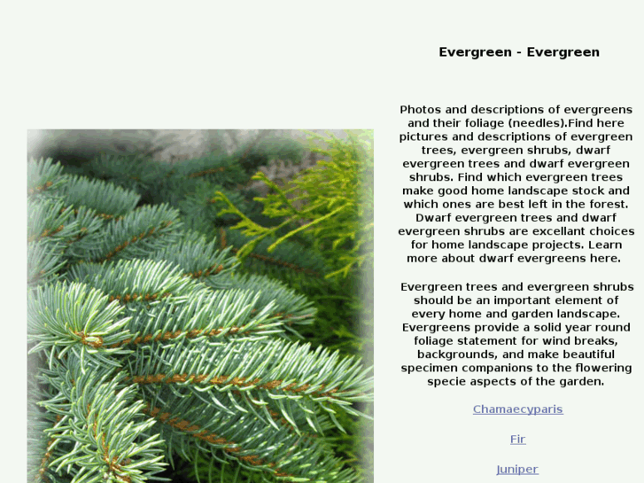www.evergreen-evergreen.com