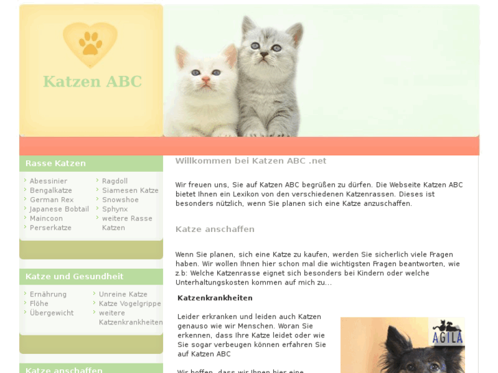 www.katzen-abc.net