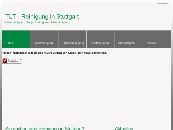 www.reinigung-in.de