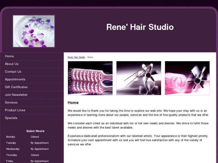 www.reneshairstudioga.com