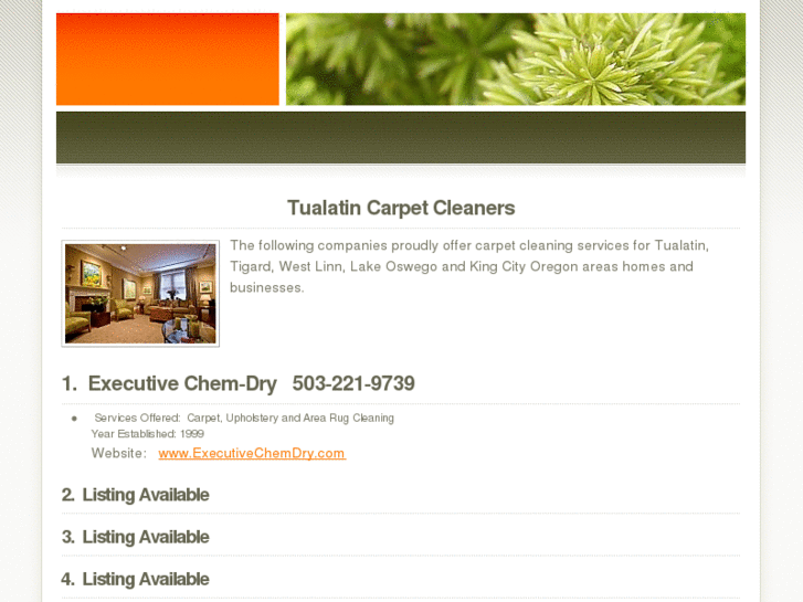 www.tualatincarpetcleaners.com