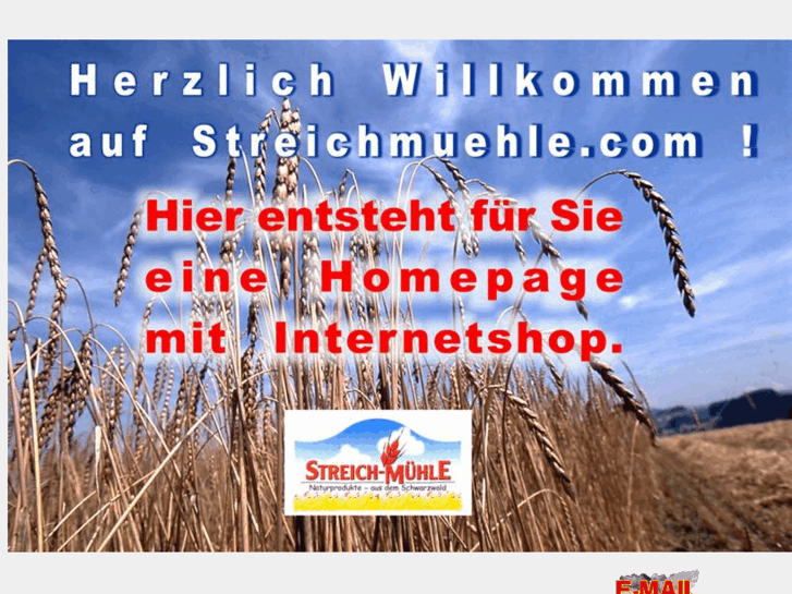 www.xn--streichmhle-0hb.info