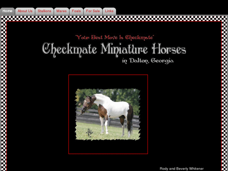 www.checkmateminiaturehorses.com