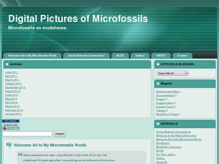 www.ocfossils.com