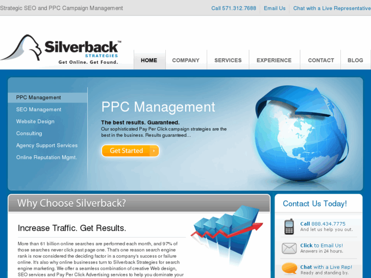 www.silverbackstrategies.com