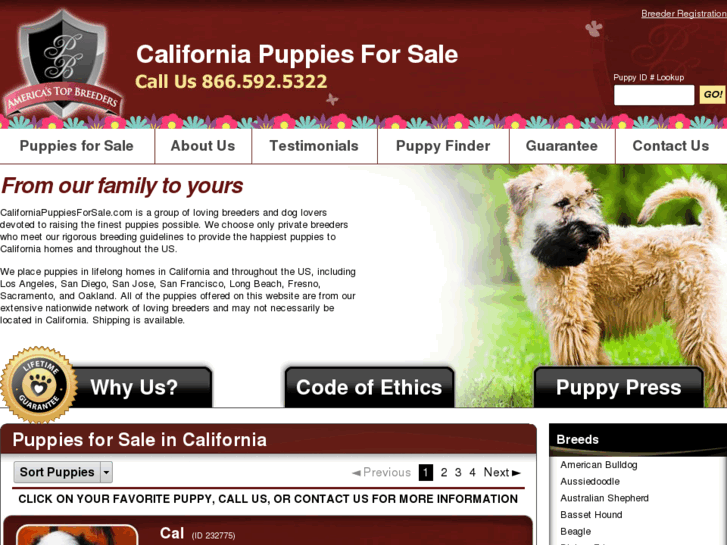 www.californiapuppiesforsale.com