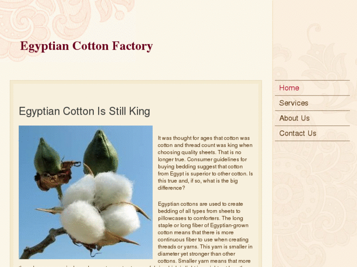 www.egyptiancottonfactory.com