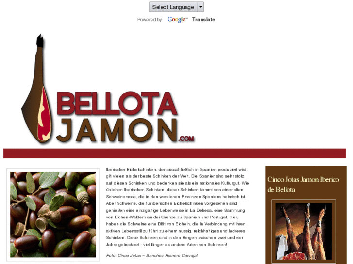 www.bellotajamon.com