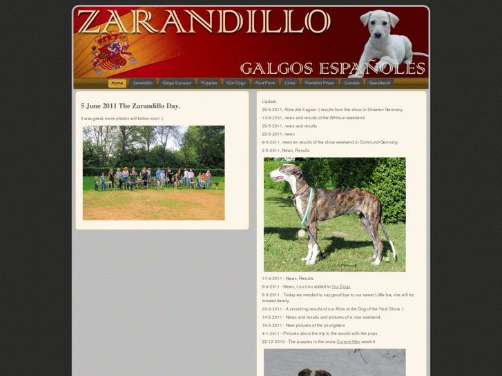 www.galgos.nl