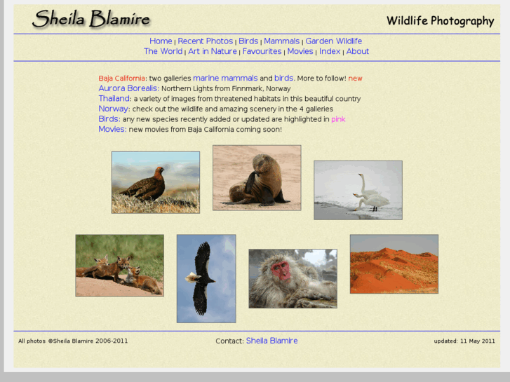 www.onlybirding.com