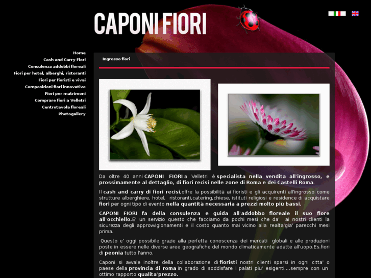 www.fioricaponi.com