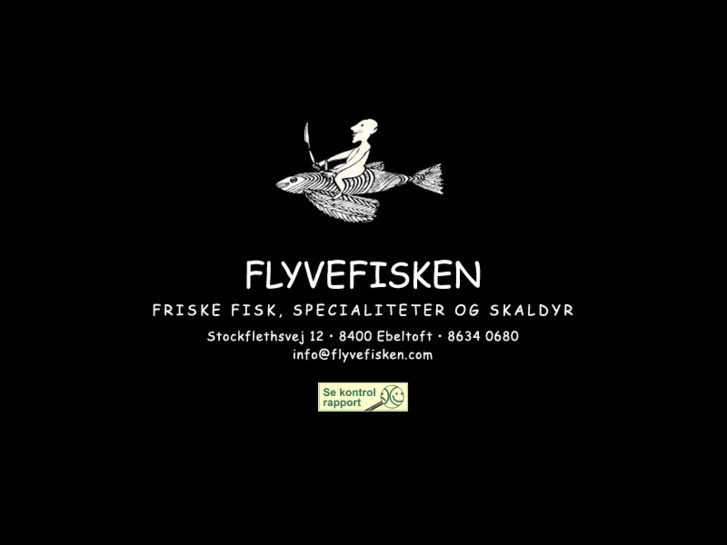 www.flyvefisken.com