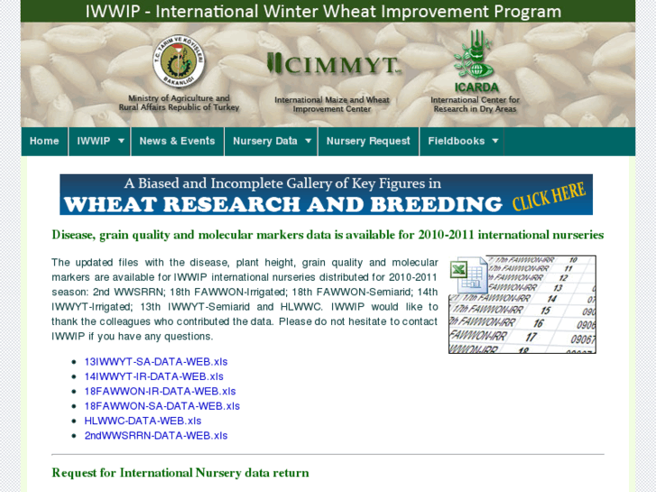 www.iwwip.org