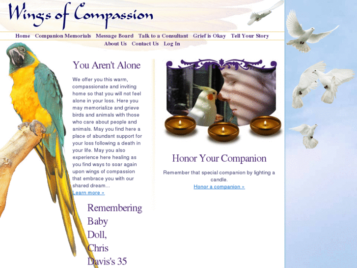 www.lafeberwingsofcompassion.com