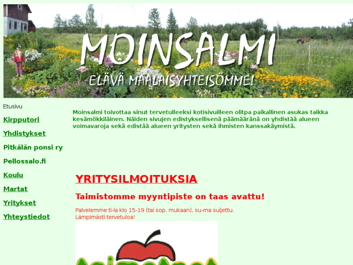 www.moinsalmi.net