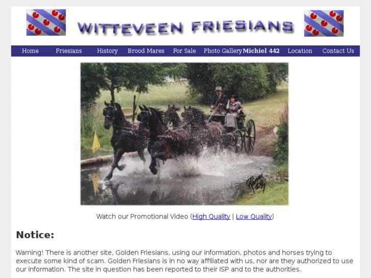 www.witteveenfriesians.com