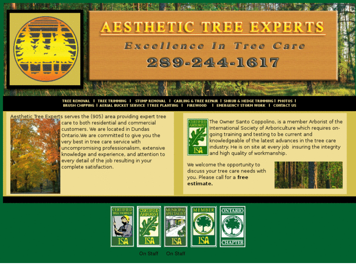 www.aesthetictreeexperts.com