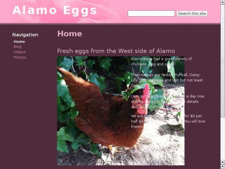 www.alamoeggs.com