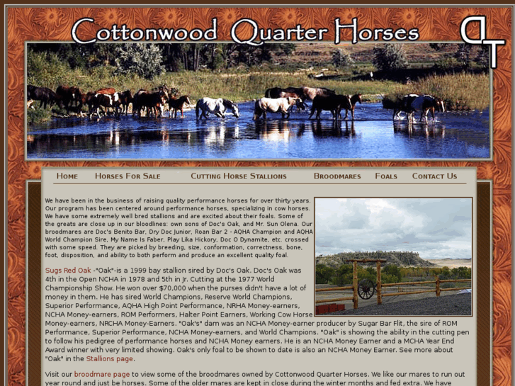 www.cottonwoodperformancehorses.com