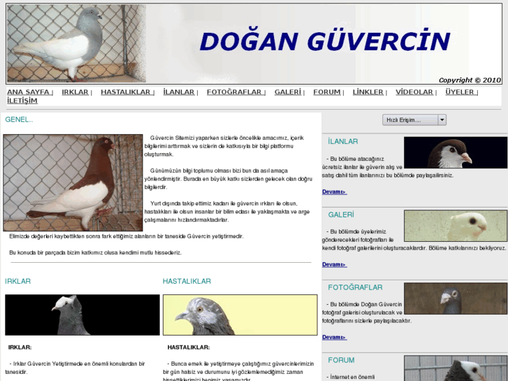 www.doganguvercin.com