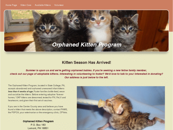 www.orphanedkittenprogram.com