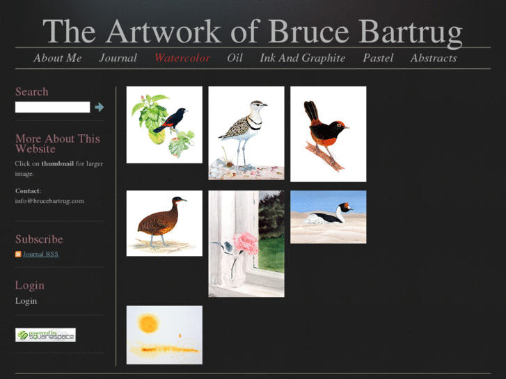 www.brucebartrug.com