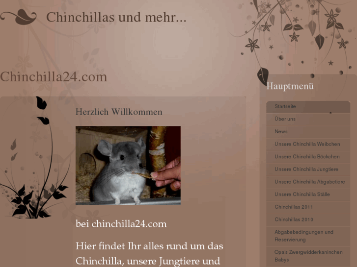 www.chinchilla24.com