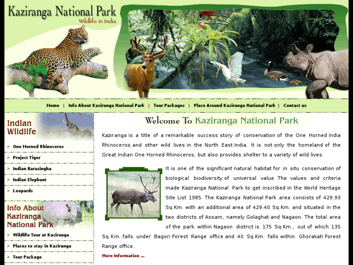 www.kaziranganationalpark.com