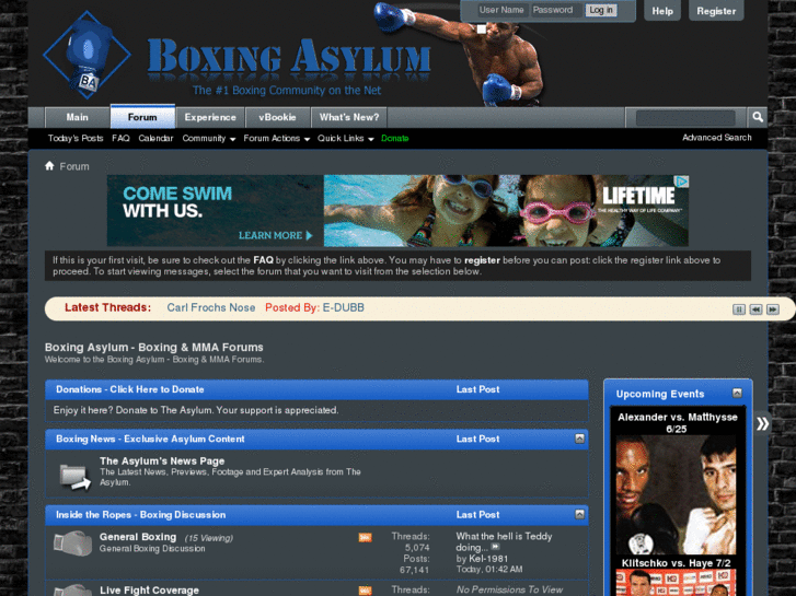 www.mmasylum.com