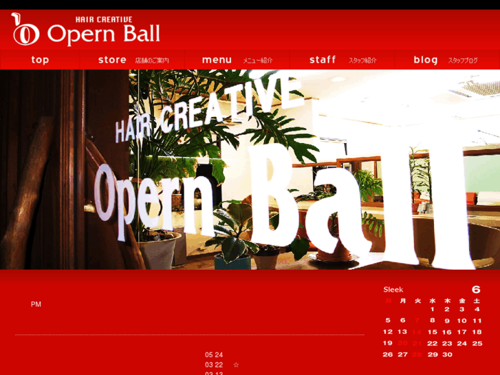 www.opernball.jp