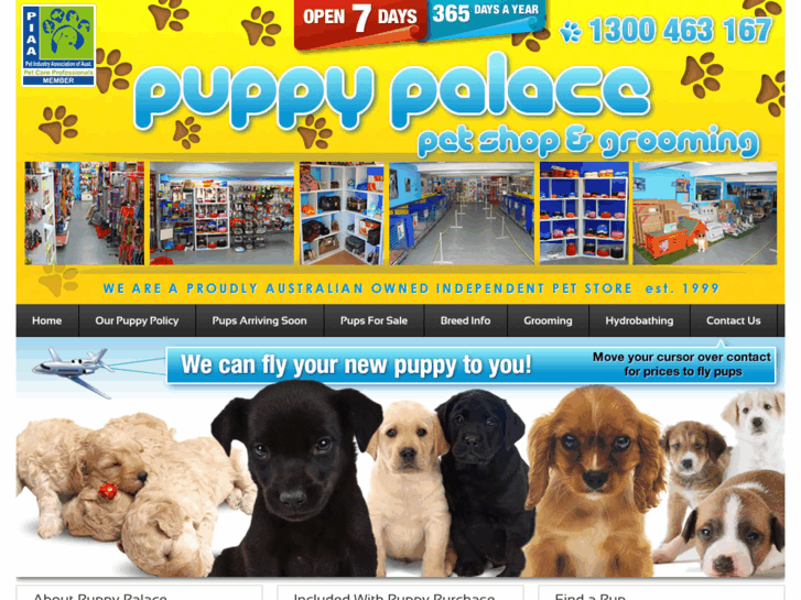 www.puppypalace.com.au