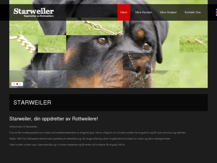 www.starweiler.com