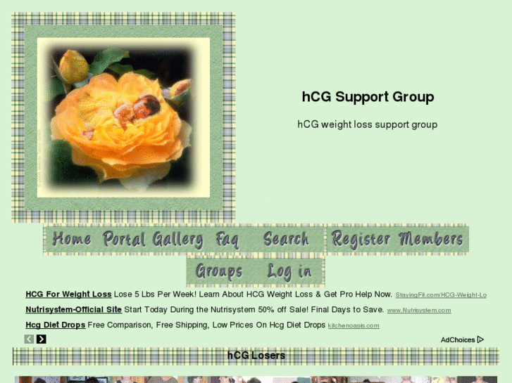 www.hcgsupportgroup.com