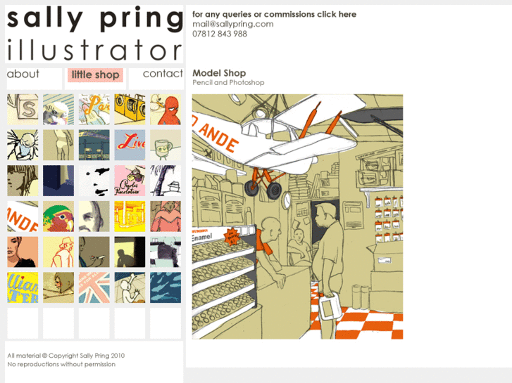 www.sallypring.com