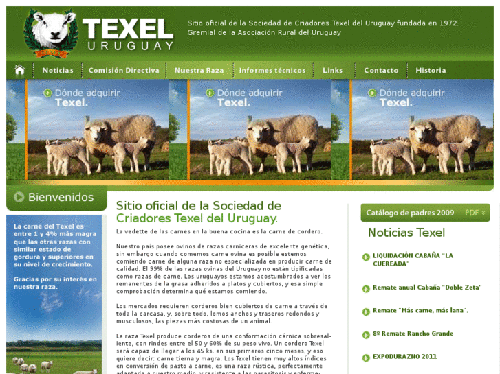 www.texeluruguay.com