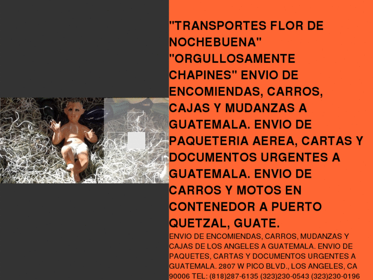 www.transportesflordenochebuena.com