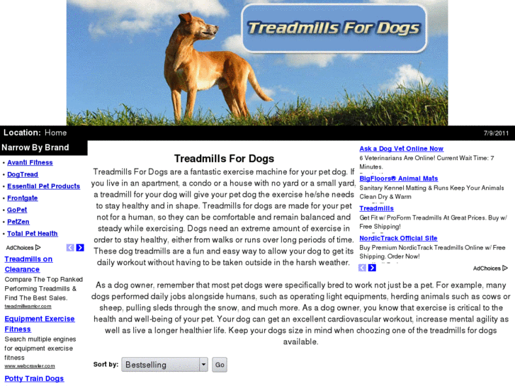 www.treadmillsfordogs.info