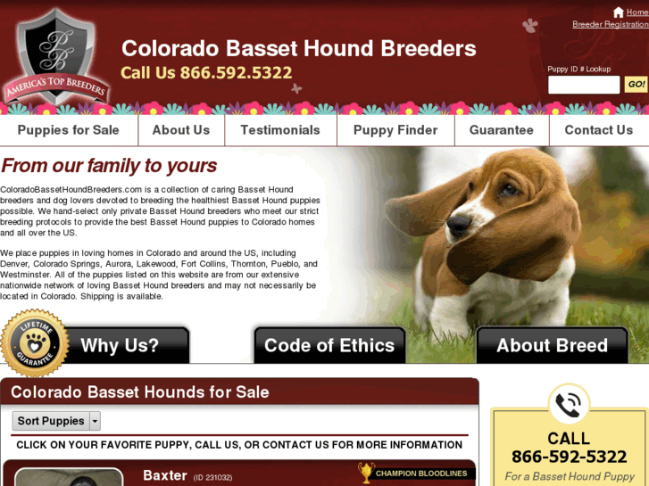 www.coloradobassethoundbreeders.com