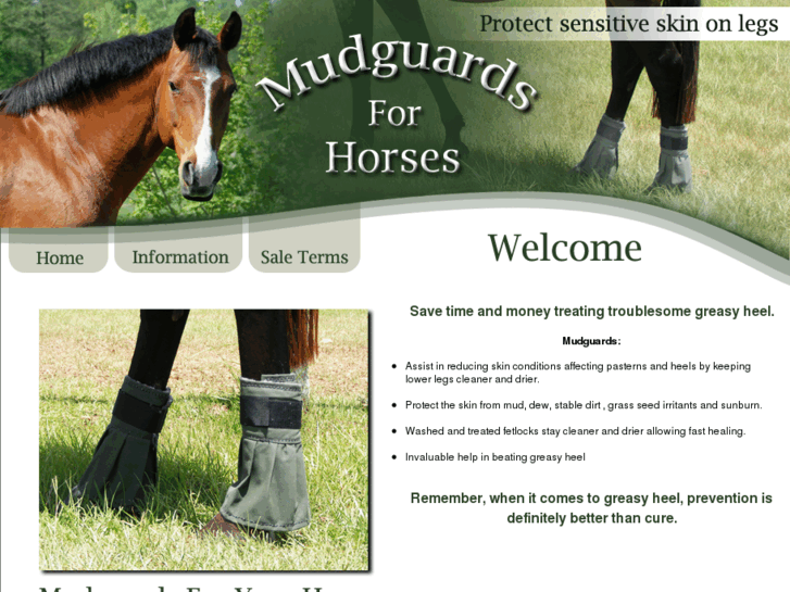 www.mudguards4horses.com