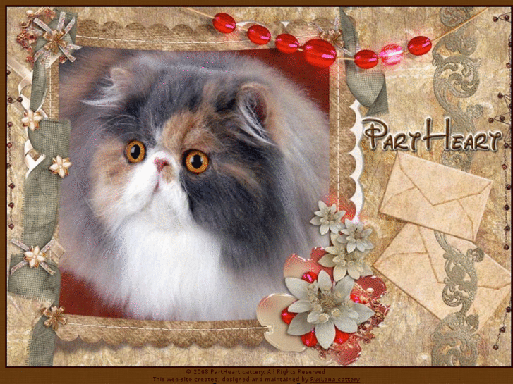 www.partheart.com