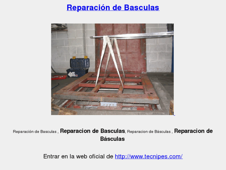 www.reparaciondebasculas.com