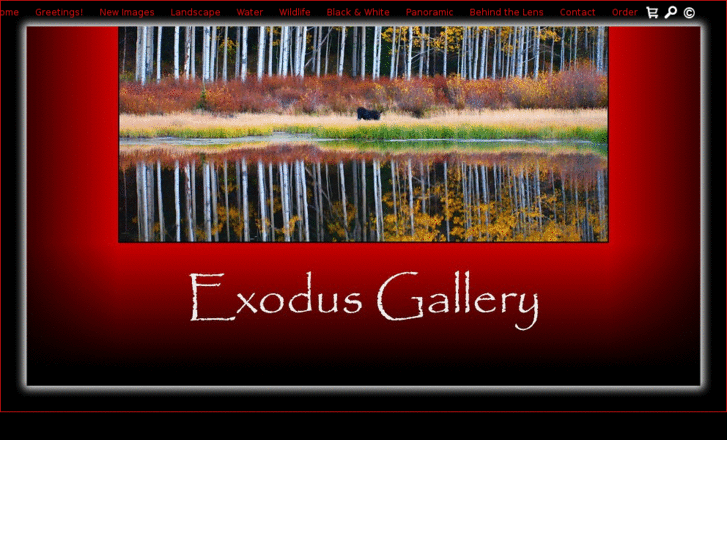 www.exodusgallery.com