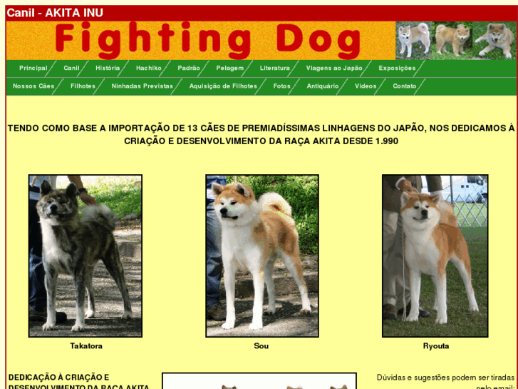 www.fightingdogakitas.com.br