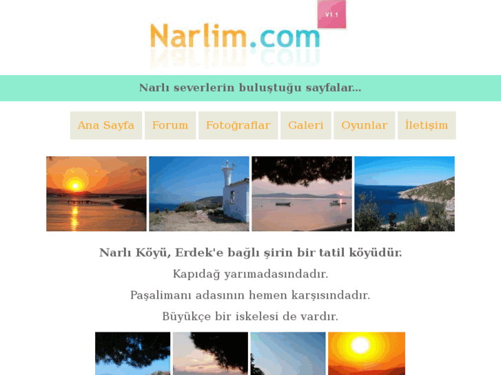 www.narlim.com